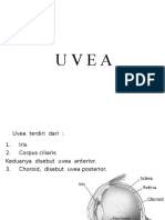 UVEA + Leukocoria