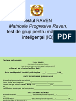Testul Raven 