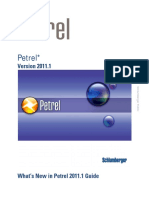 Petrel 2011.1 What's New