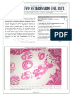 Archivo Veterinario del Este - 2_2015.pdf