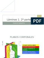 laminas1 parte2.ppt