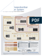 AOSpine Thoracolumbar Classification System Overview