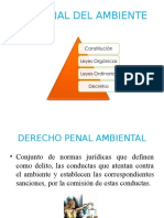  Ley Penal del Ambiente.