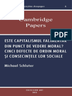 6 Schluter Capitalismul Cambridge Papers