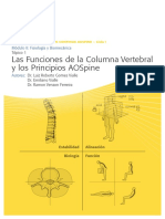 Funciones y Biomecanica Spine PDF