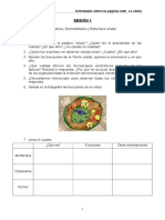 Cuestionarios Globales Asignatura 3º