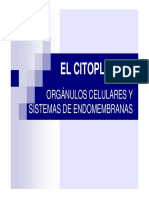 orgánulos celulares