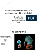 34026104-070710-Anatomy-of-Pelvis-and-Fetal-Skull.ppt