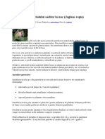 'Documents.tips Portaltoi Si Altoirea Nucilor.docx'
