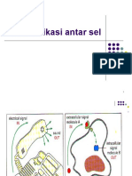 2 Cells Communication