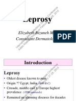 Leprosy: Elizabeth Bizuneh M.D Consultant Dermatologist