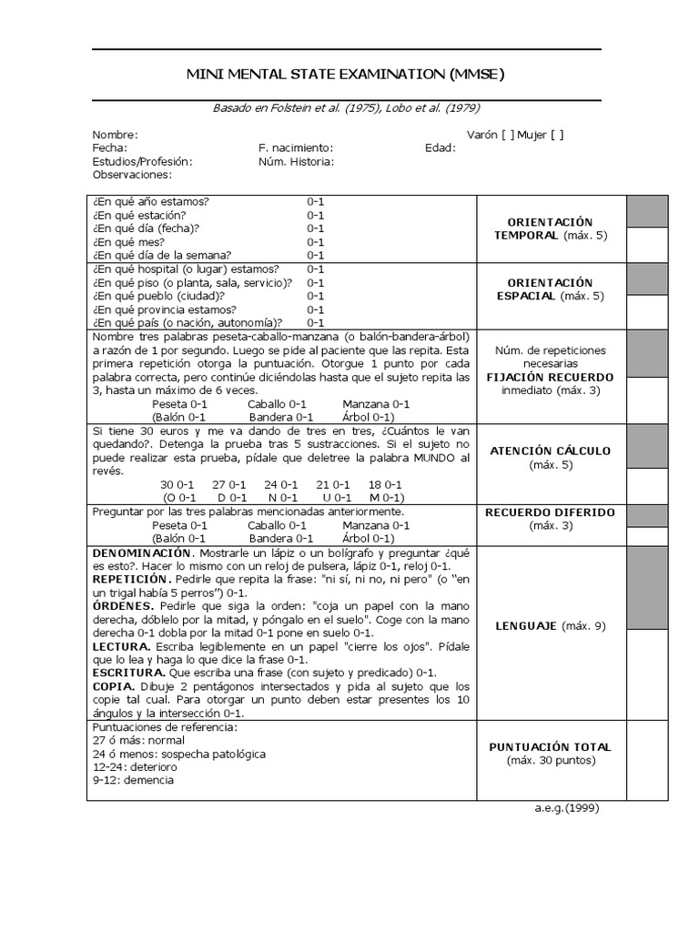 minimentaldef.MMSE.pdf