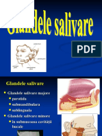 Glandele Salivare Majore, 2015