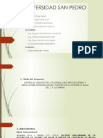 Biofiltro (Platano y Arcilla)