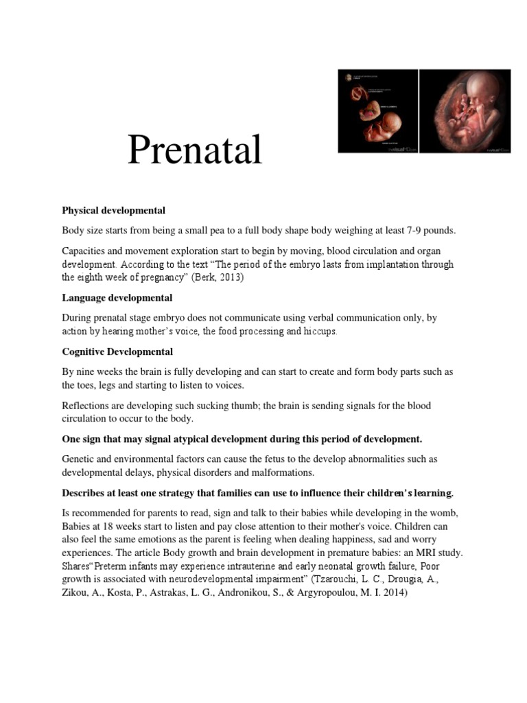 Prenatal Development: Growth and Learning | PDF