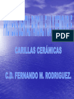 carillas.pdf