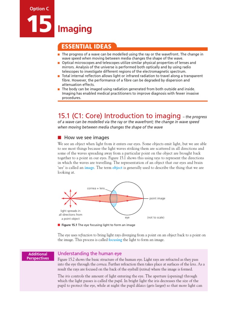 004 - Option C Chapter 15 Imaging PDF | PDF