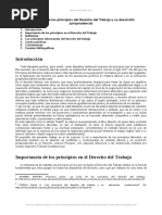 Importancia Principios Del Derecho Del Trabajo y Su Desarrollo Jurisprudencial