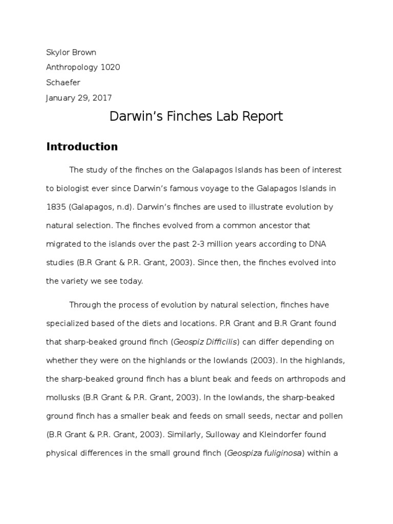 Darwin's finches picture