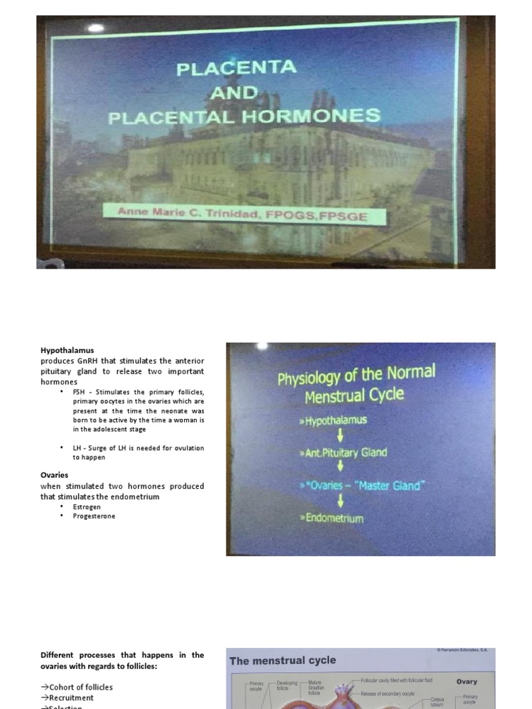 Hormones and Functions of the Placenta | PDF | Menstrual Cycle ...