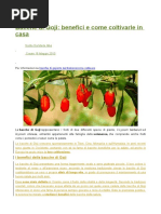 GOJI Bacche - Coltivazione.docx