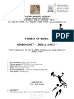 Proiect Optional Minibaschet 2014-2015