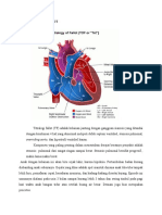 Tetralogy of Fallot