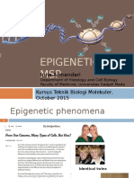 Epigenetic&MS PCR Inna