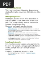 Types of Jaundice