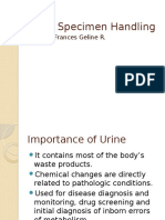 Urine Specimen Handling and Collection