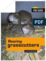 252804003-Grasscutter.pdf