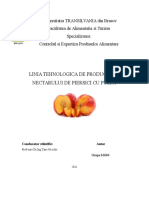 Linia Tehnologica de Producere a Nectarului de Piersici cu Pulpa.doc