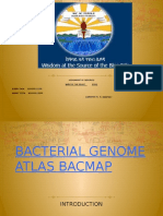 Assignment of Genomics Name of The Group Id - No. 1.aberu Daba Bdu0901121Pr 2.genet Tsega Bdu0901135Pr