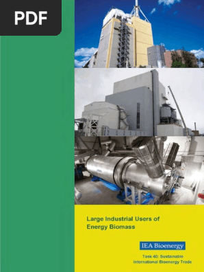 3 Large Industrial Users Of Energy Biomass Iea Bioenergy Biomass Biofuel