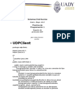 Reporte de Practica UDP