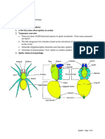 Biology of Spiders