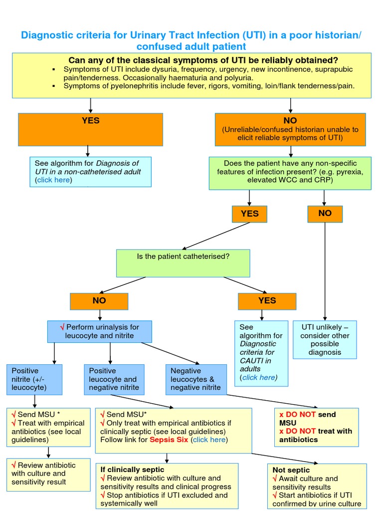Diagnostic Criteria for UTI in Confused Patient Urinary Tract Infection Public Health