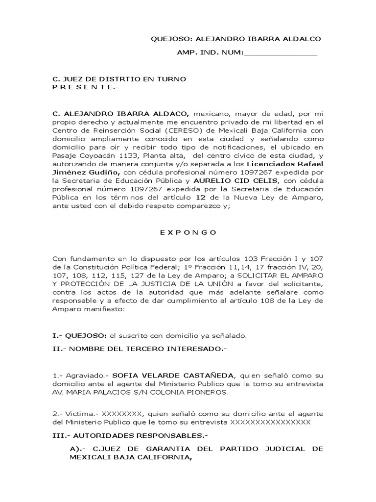 Amparo de Alejandro Ibarra Aldalco | PDF | Derecho penal | Caso de ley