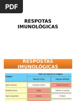 Efeito Da Resposta Ao Antígeno- Slides VA3