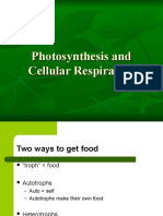 Photosynthesis and Cellular Respiration