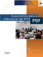 Guia Practica Elaboracion PETE PAT