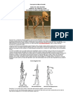 Descoperire in Marea Piramida