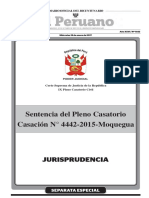 336911159-Pleno-Casatorio.pdf