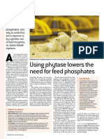 6238 Phyzyme XP Article - Poultry World - Nov 2008