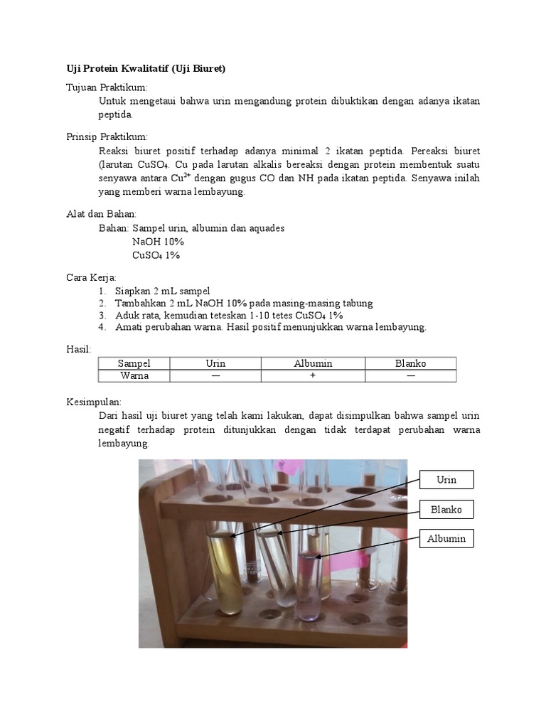Lap Uji Biuret Docx
