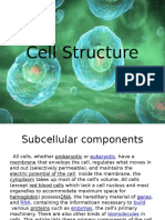 Cell Structure