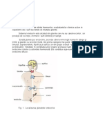 Referat Endocrinologie