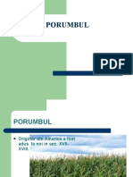 Porumbul PPT.ppt