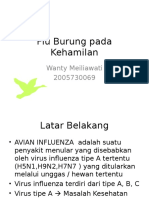 Flu Burung Pada Kehamilan