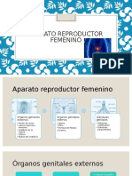 Aparato Reproductor Femenino